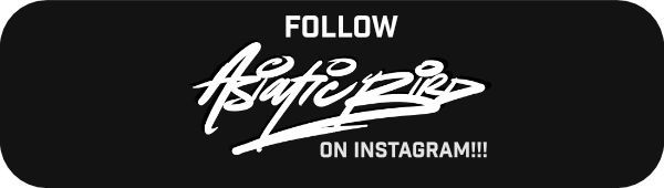 WP Button for Instagram